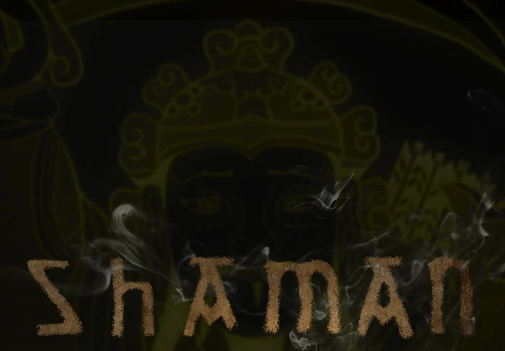 Shaman Chapter 2